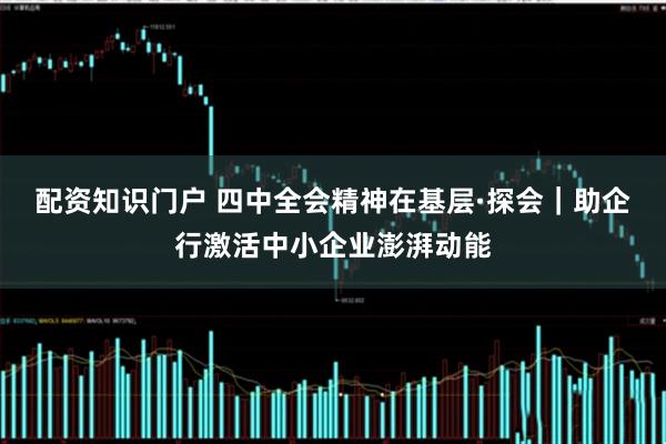 配资知识门户 四中全会精神在基层·探会｜助企行激活中小企业澎湃动能